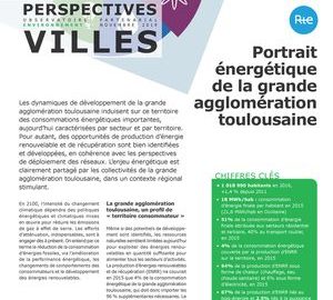 portraitenergetiquegat.jpg