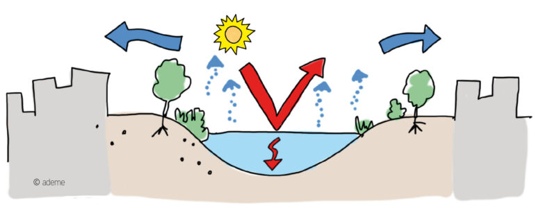 L’eau participe à réduire le stockage de chaleur grâce au phénomène d’évaporation.