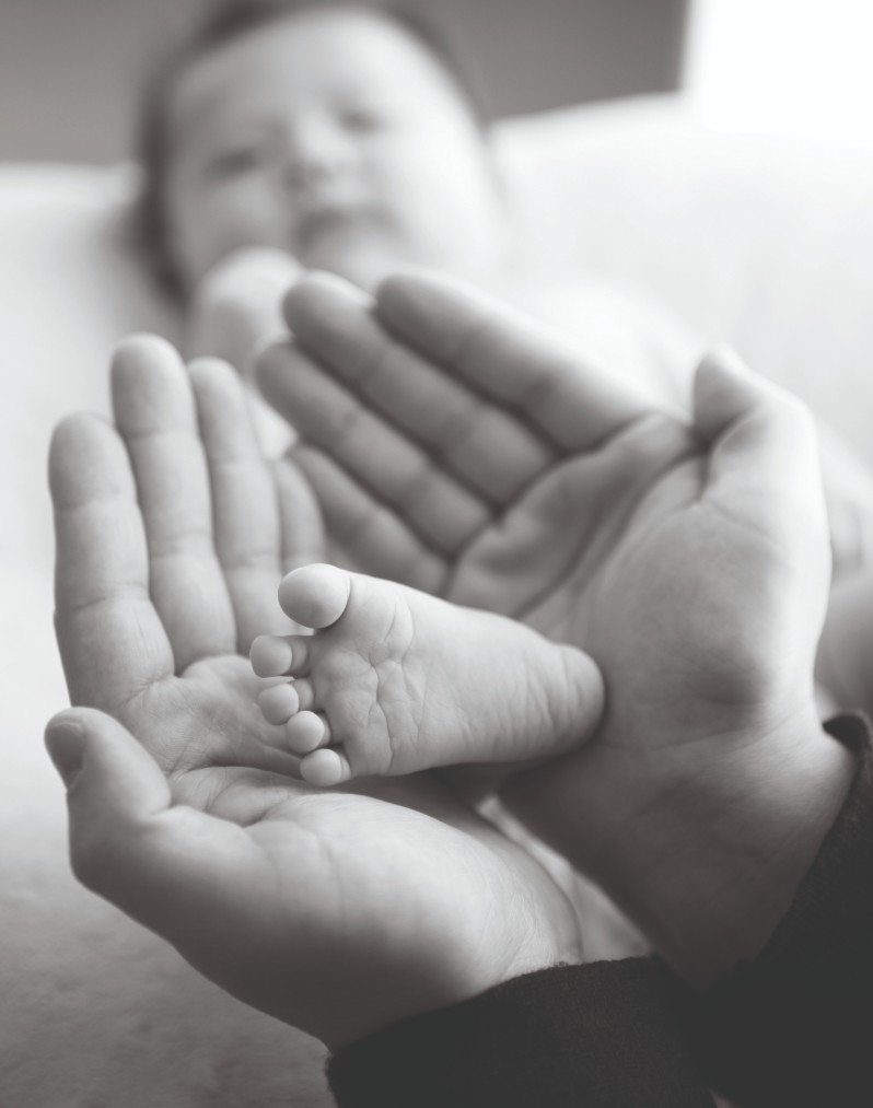 baby boom Belveder n 14