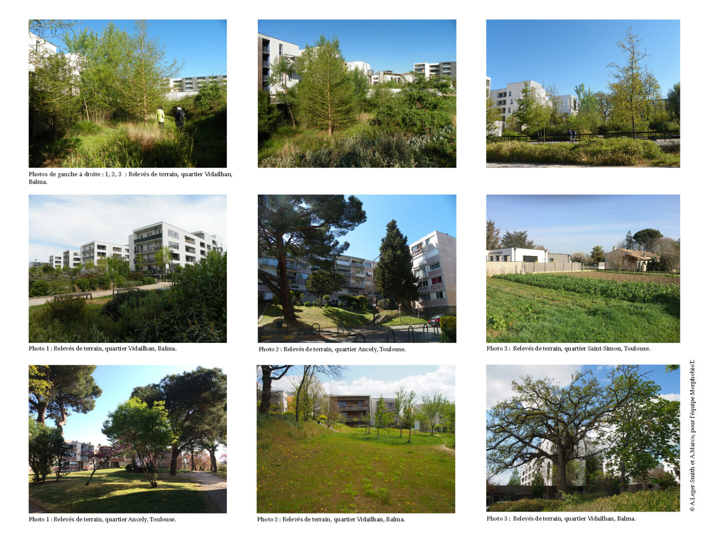 Extrait Terrain Morphobiot