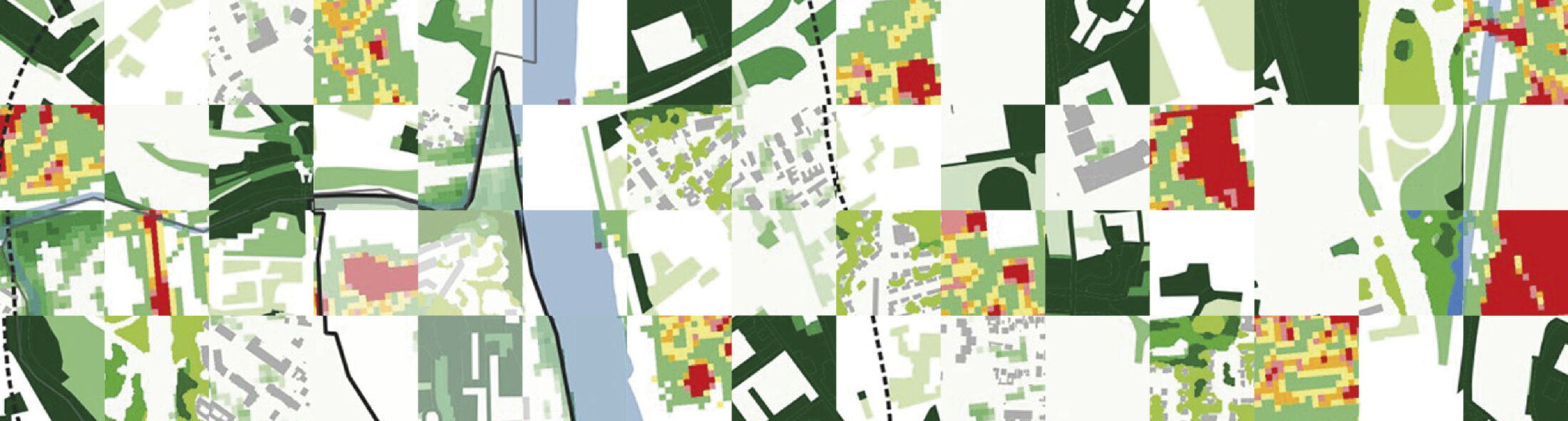 illustration morphobioT