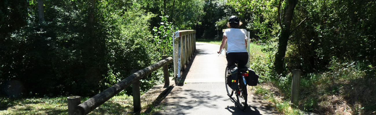 photo d'une personne à vélo dans un espace vert