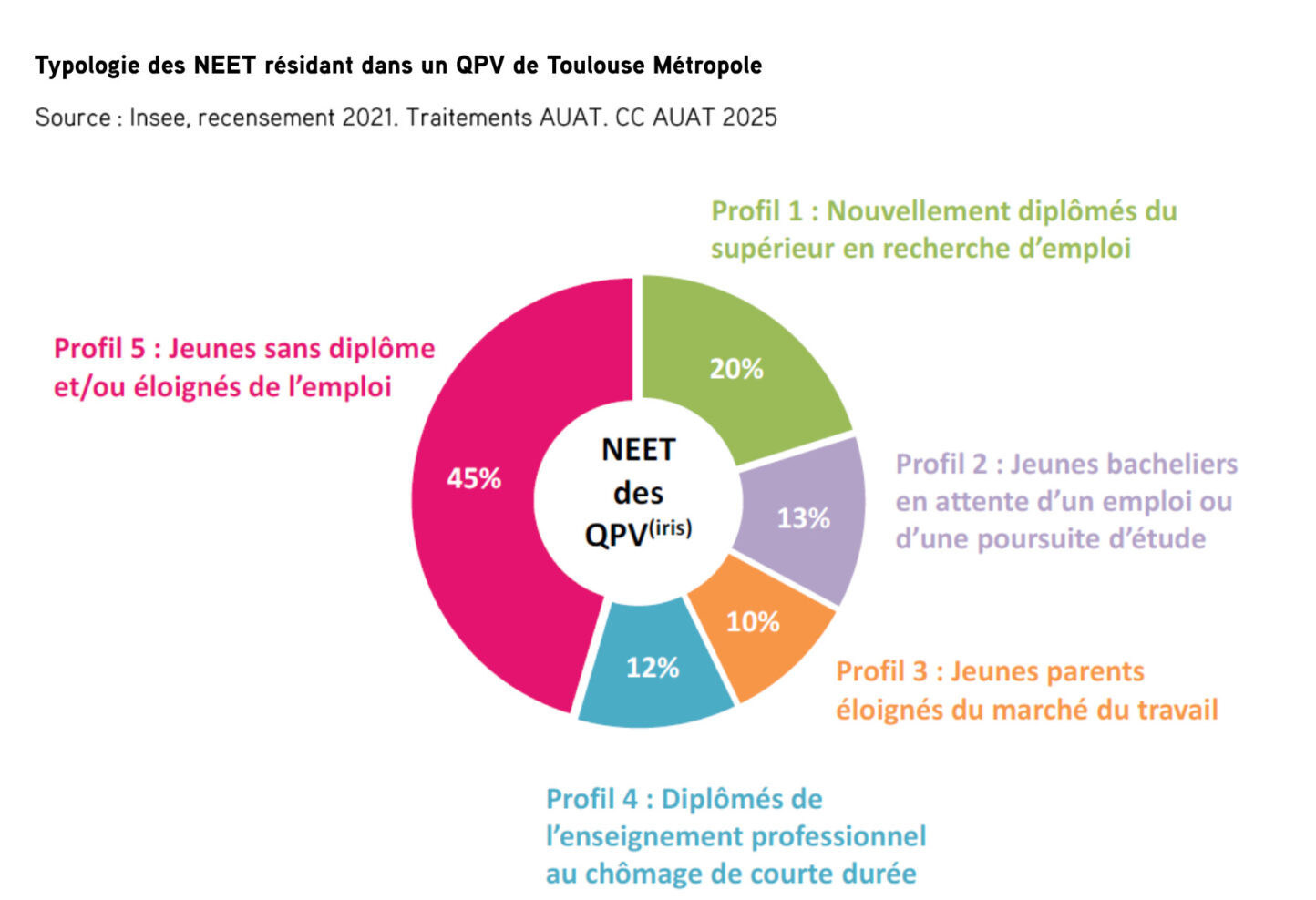 Typologie Des NEET Residant Dans Un QPV Iris De Toulouse Metropole