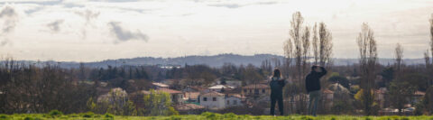 paysage