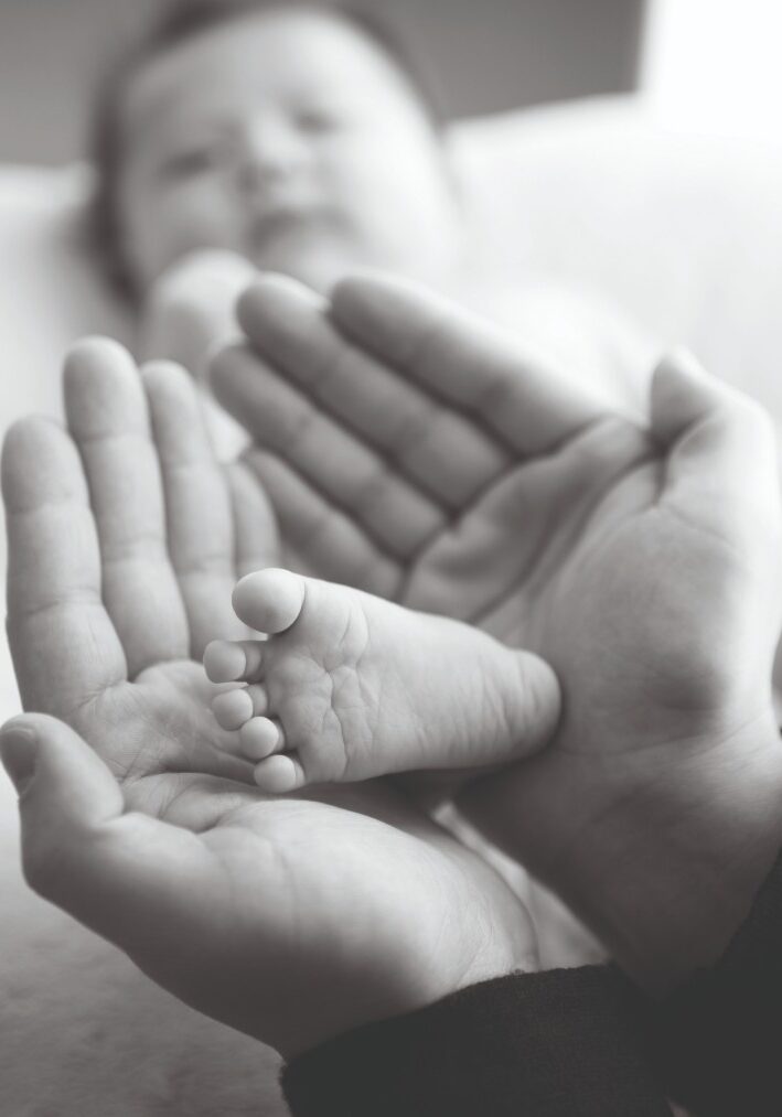 baby boom Belveder n 14