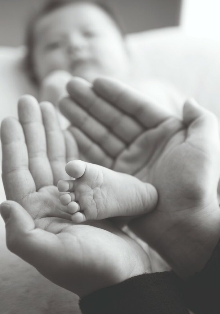 baby_boom_Belveder-n-14 baby boom Belveder n 14