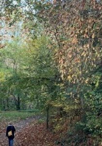 chemins-light--670x300