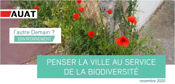 biodiversite_coquelicot_bandeau1